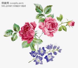 红与蓝png免抠素材_新图网 https://ixintu.com 简约 绿叶 花朵