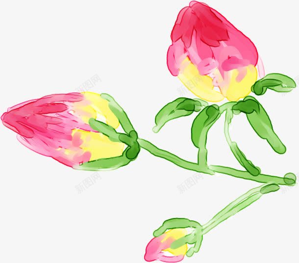 黄粉色手绘水彩花苞png免抠素材_新图网 https://ixintu.com 水彩 粉色 花苞