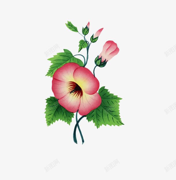 水彩鲜花png免抠素材_新图网 https://ixintu.com 卡通 手绘 水彩 牵牛花 红色 鲜花