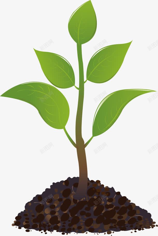 枝芽png免抠素材_新图网 https://ixintu.com png 土壤 枝芽 沃土