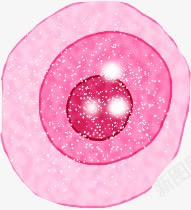 创意合成红色的花朵效果png免抠素材_新图网 https://ixintu.com 创意 合成 效果 红色 花朵 设计