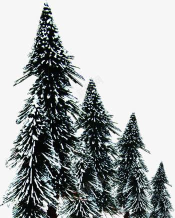 冬日美景树木白雪png免抠素材_新图网 https://ixintu.com 冬日 树木 白雪 美景