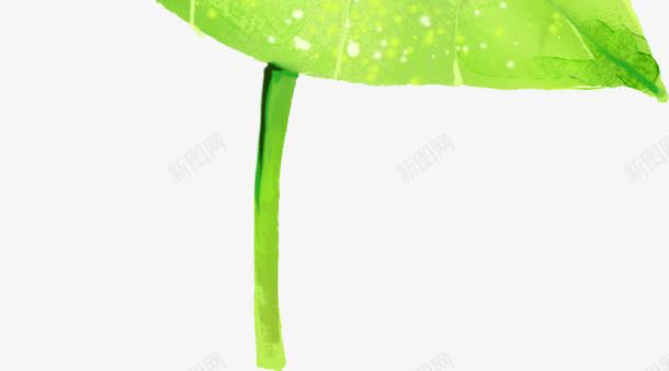 绿色树叶花朵美景png免抠素材_新图网 https://ixintu.com 树叶 绿色 美景 花朵