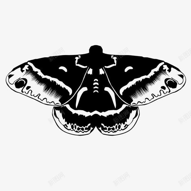 黑色的飞蛾png免抠素材_新图网 https://ixintu.com PNG 虫子 飞蛾 黑色
