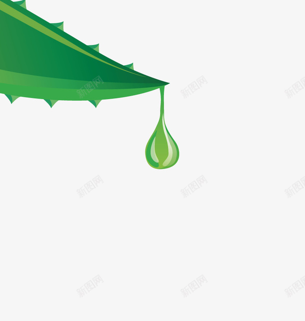芦荟汁矢量图ai免抠素材_新图网 https://ixintu.com 免扣png 免扣png素材 免费png 免费png素材 植物 汁液 滴 绿色 矢量图