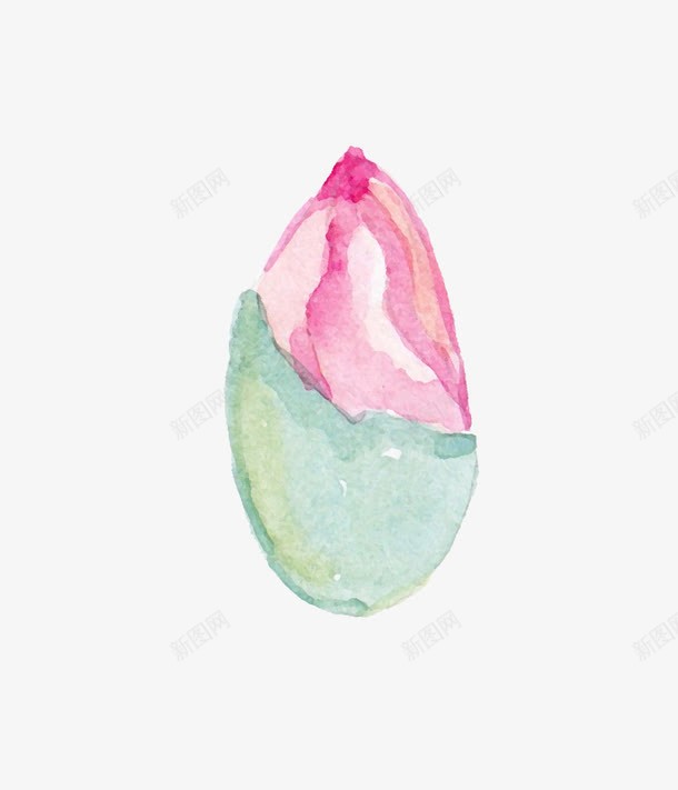 手绘花朵png免抠素材_新图网 https://ixintu.com 彩绘 手绘 插画 花朵 花苞 装饰图案 鲜花