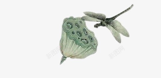 蜻蜓莲蓬水墨画背景png免抠素材_新图网 https://ixintu.com 水墨画 背景 莲蓬 蜻蜓