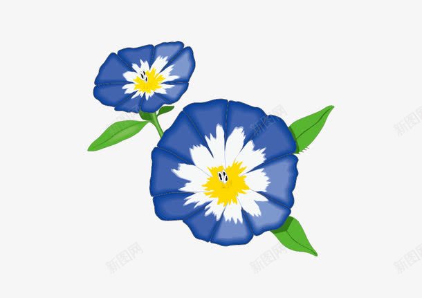 高仿真蓝色牵牛花png免抠素材_新图网 https://ixintu.com 牵牛花 绿叶 蓝色 高仿真