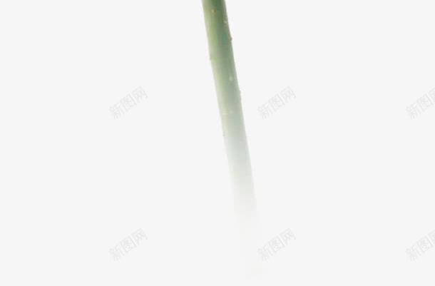 教师节粉色花朵海报png免抠素材_新图网 https://ixintu.com 教师节 海报 粉色 花朵