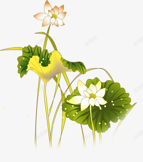 花瓣png免抠素材_新图网 https://ixintu.com 山茶花 背景 装饰
