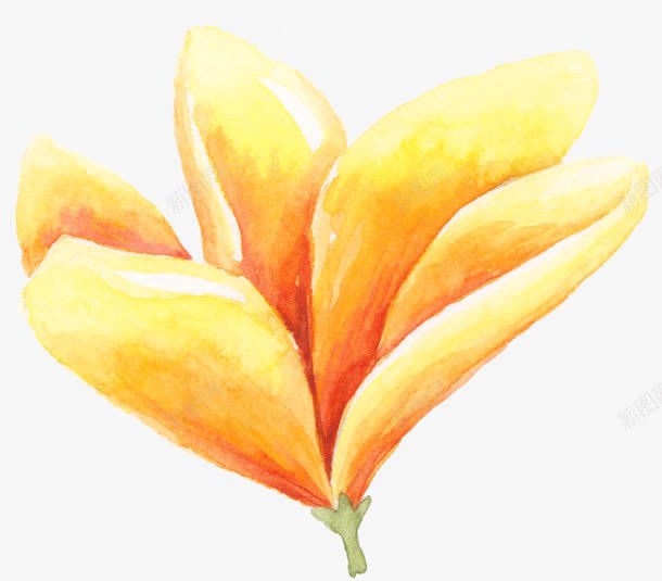 水彩花png免抠素材_新图网 https://ixintu.com 森系花 水彩花 黄色花
