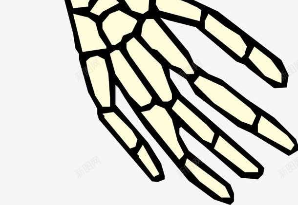 人体骨骼png免抠素材_新图网 https://ixintu.com 人体器官 人体骨骼 医疗健康 医疗卡通 医疗器材 医疗器械 医疗科技 医疗科研