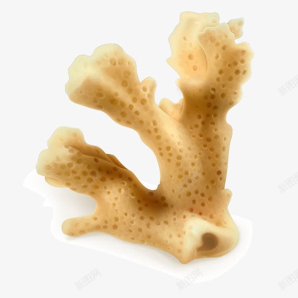 礁石png免抠素材_新图网 https://ixintu.com 海洋生物 礁石 黄色