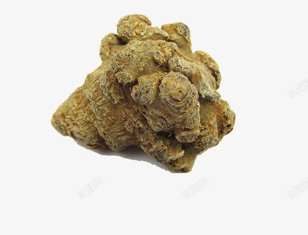 田七药材不硫熏png免抠素材_新图网 https://ixintu.com 三七 不打蜡 中药 产品实物 入药 可切三七片 可打三七粉 文山三七 无剪口滑头 春三七 水洗三七 滑头子春三七 田七头