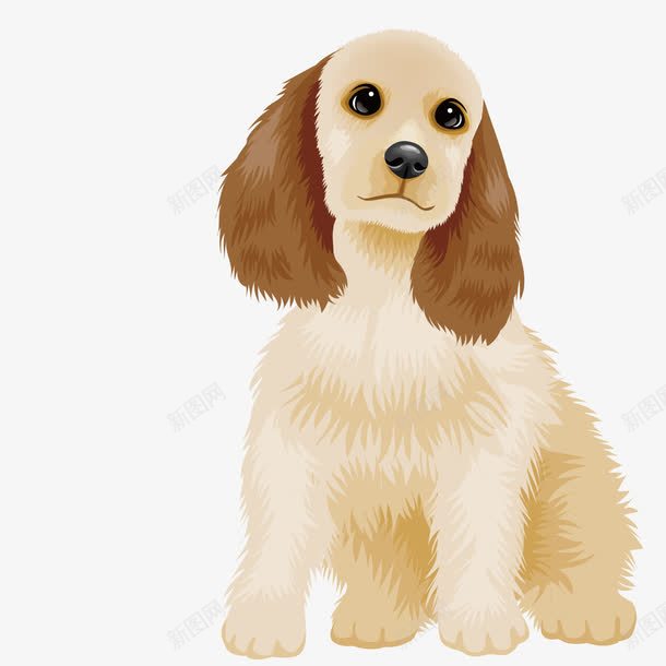 宠物狗狗png免抠素材_新图网 https://ixintu.com 可爱 宠物 小狗 巨贵犬