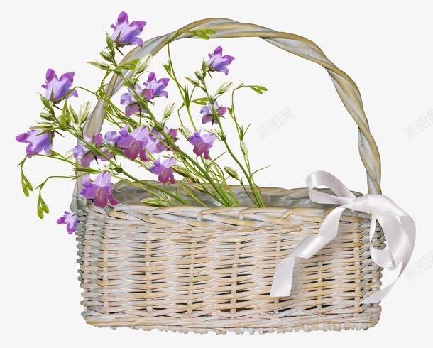 花篮png免抠素材_新图网 https://ixintu.com 修饰 免扣 篮子 素材 花朵 花篮 装饰