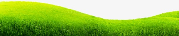 绿色草原背景png免抠素材_新图网 https://ixintu.com 绿色 背景 草原