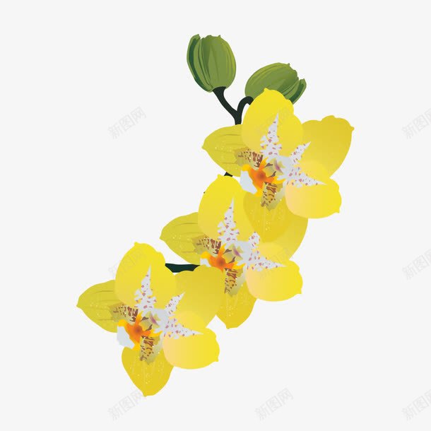 黄色的花png免抠素材_新图网 https://ixintu.com 叶子 植物 矢量装饰 花 花朵 装饰