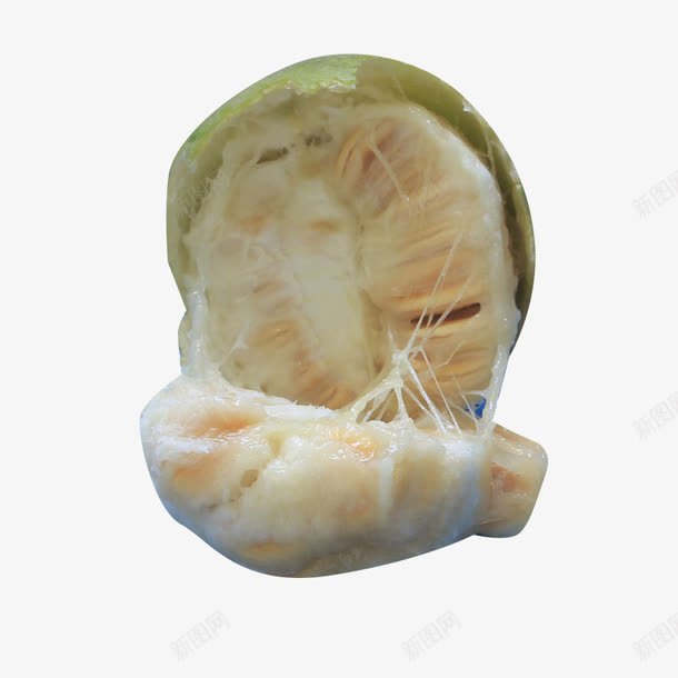 罗汉果肉png免抠素材_新图网 https://ixintu.com 中药 泡茶 润喉 清热 罗汉果 解毒