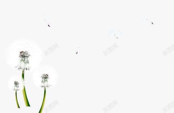 蒲公英装饰图png免抠素材_新图网 https://ixintu.com 绿色植物装饰蒲公英