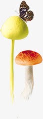 可爱彩色蘑菇蝴蝶png免抠素材_新图网 https://ixintu.com 可爱 彩色 蘑菇 蝴蝶