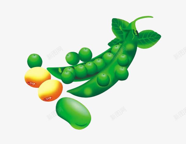 豌豆荚片png免抠素材_新图网 https://ixintu.com 腊八豆 腊八豆原料 豆子 豌豆荚 黄豆