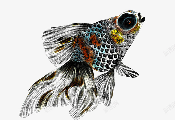 手绘插画瞎眼鱼png免抠素材_新图网 https://ixintu.com 手绘 插画 瞎眼 鱼儿