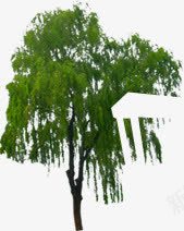 景观湿地公园美景png免抠素材_新图网 https://ixintu.com 公园 景观 湿地 美景