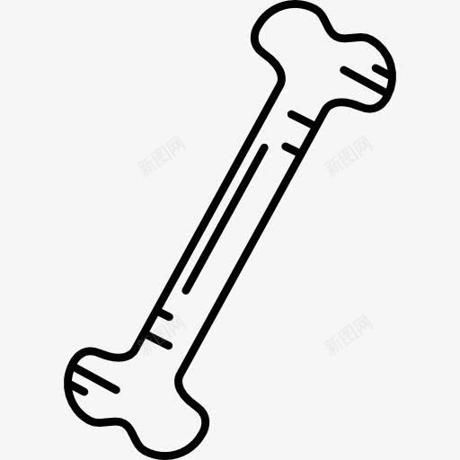 人骨图标png_新图网 https://ixintu.com 人体 医疗 解剖 身体部位 骨头