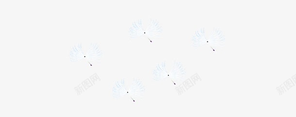 蒲公英psd免抠素材_新图网 https://ixintu.com 种子 蒲公英