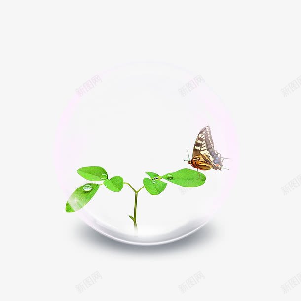 温室中嫩芽png免抠素材_新图网 https://ixintu.com 发芽 植物 蝴蝶
