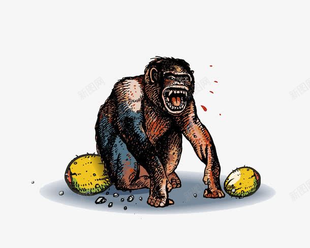 原始人png免抠素材_新图网 https://ixintu.com 原始人 古代人类 复古 猩猩