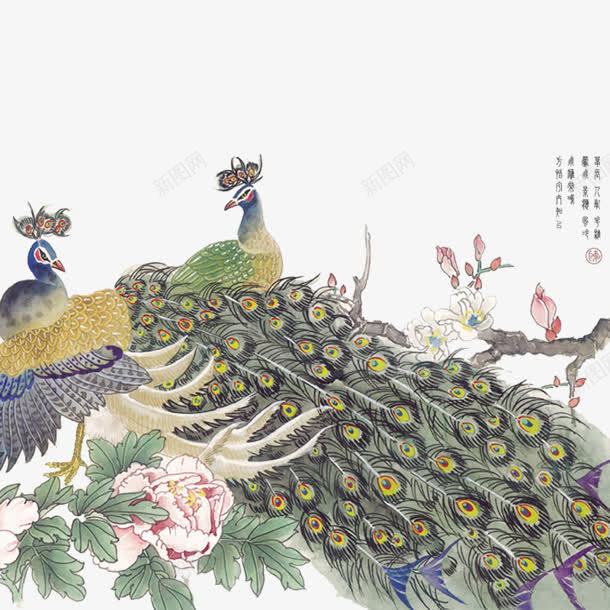 水彩古风孔雀png免抠素材_新图网 https://ixintu.com 古风 孔雀 水彩