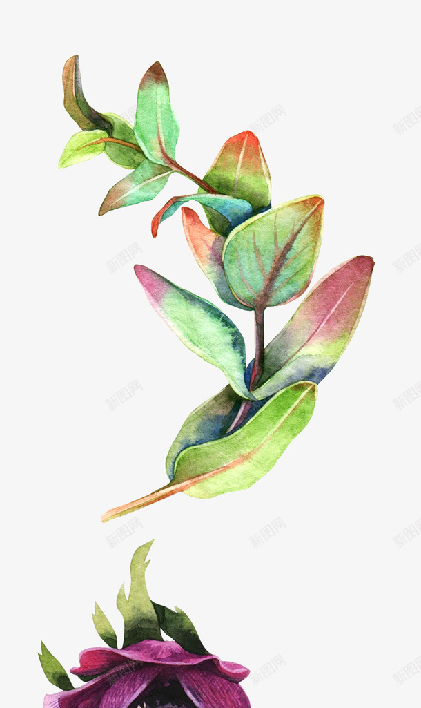 卡通手绘花朵绿叶png免抠素材_新图网 https://ixintu.com 创意 动漫动画 卡通手绘 简约 红色的花朵 绿叶 花卉