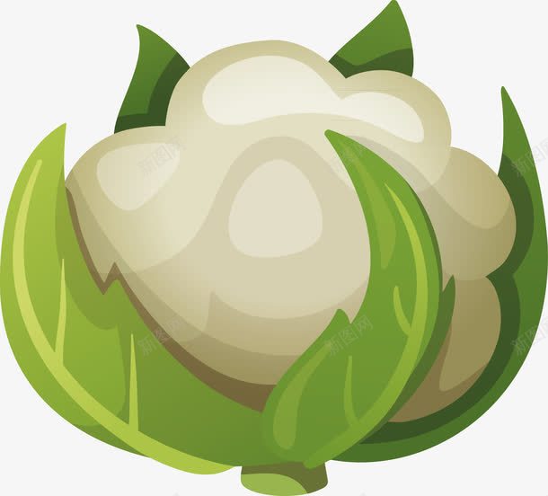 包菜装饰案精美png免抠素材_新图网 https://ixintu.com 包菜 包菜装饰 包菜装饰设计图案 包菜装饰设计图案精美 精美 装饰设计图案精美 设计图案精美