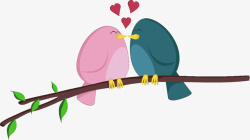 树枝上亲吻的蓝粉色小鸟素材