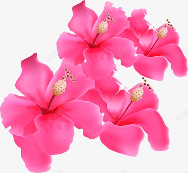 手绘夏日花朵红色效果png免抠素材_新图网 https://ixintu.com 夏日 效果 红色 花朵