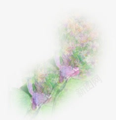 手绘花卉油画png免抠素材_新图网 https://ixintu.com 油画 素材 花卉