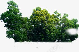 园林翠绿效果美景png免抠素材_新图网 https://ixintu.com 园林 效果 美景 翠绿