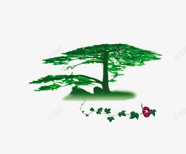 参天大树和牵牛花png免抠素材_新图网 https://ixintu.com 免抠图树和花 大叔 树 牵牛花 绿树