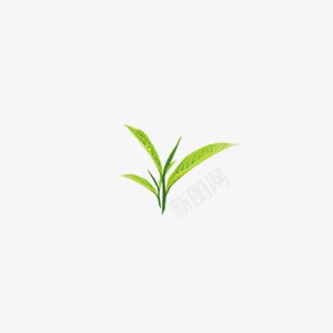 茶言观色绿茶养生休闲png免抠素材_新图网 https://ixintu.com 休闲 养生 绿茶 茶言 观色
