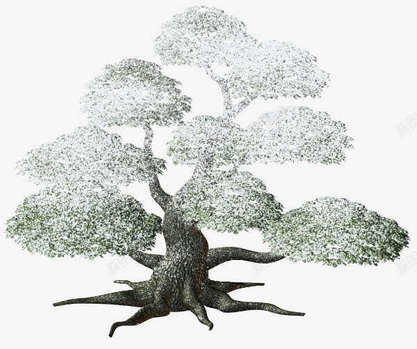 树png免抠素材_新图网 https://ixintu.com 冬季 冬树 枯树 树 树木 植物