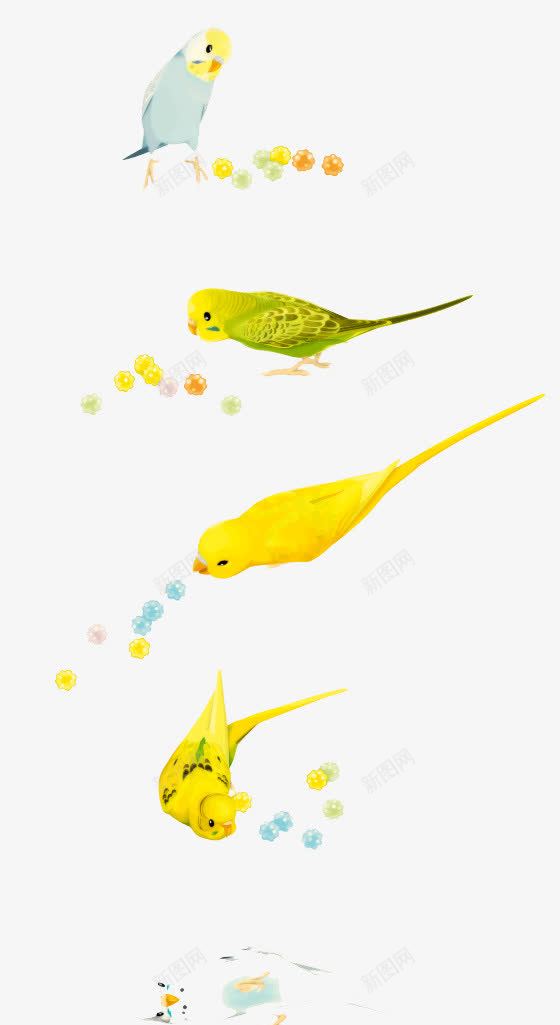 卡通小鸟小鹦鹉png免抠素材_新图网 https://ixintu.com 儿童插画 卡通 卡通人物 卡通动物 可爱 小鸟 小鹦鹉 插画 故事插画