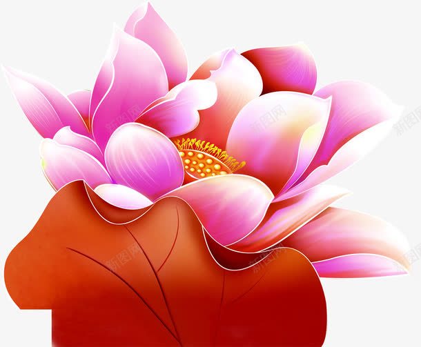 手绘大叶黄蕊花朵png免抠素材_新图网 https://ixintu.com 花朵