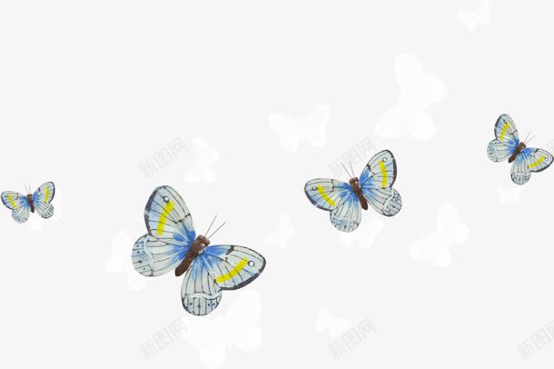 四个白色镶黄蝴蝶png免抠素材_新图网 https://ixintu.com 白色 蝴蝶