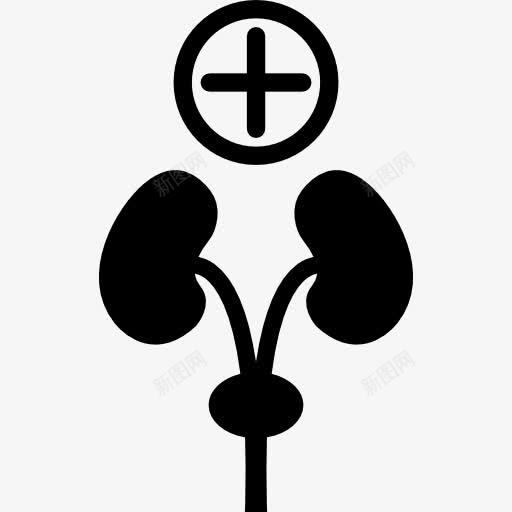 加号和人体器官图标png_新图网 https://ixintu.com 人体器官 内部 医疗 医药卫生 器官 标志 此外 身体部分