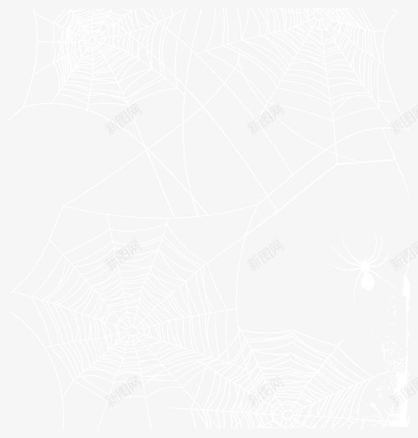 白色蜘蛛网png免抠素材_新图网 https://ixintu.com 免扣png 白色 网 背景 蜘蛛网