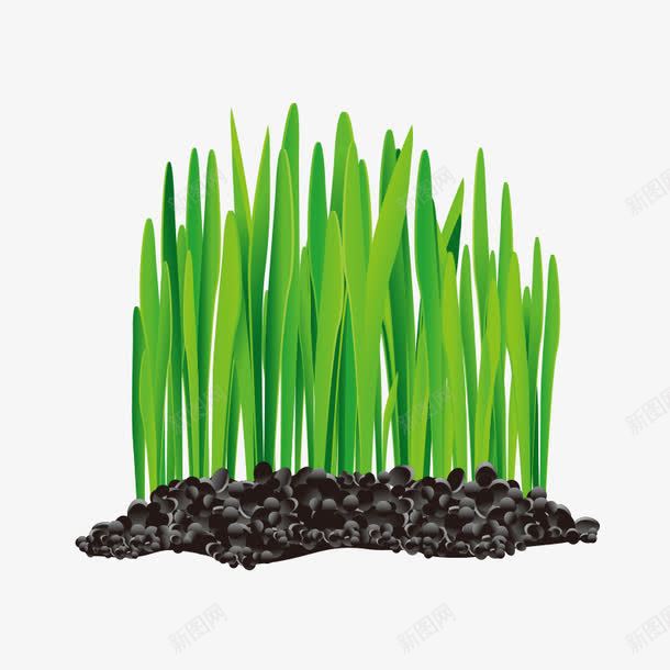 植物种子发芽png免抠素材_新图网 https://ixintu.com 发芽 植物 种子 绿色