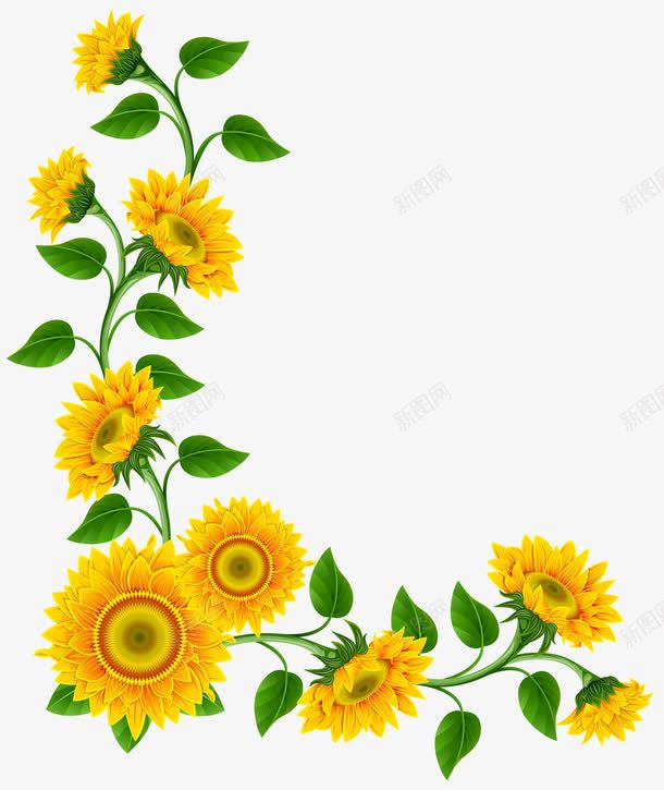 黄色的小雏菊花纹背景png免抠素材_新图网 https://ixintu.com 简约 花朵 设计 黄色