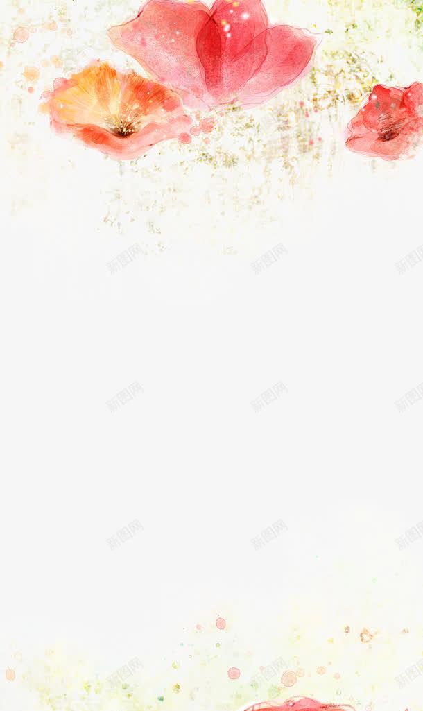 手绘红色牵牛花背景png免抠素材_新图网 https://ixintu.com 手绘 牵牛花 素材 红色 背景